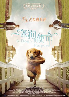 中文亚洲动漫精品