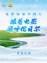 天天精品视频