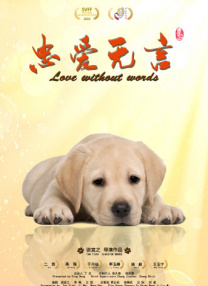 a级片免费观看