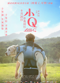 伊人久热这里只有精品视频99